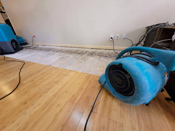 Professional Water Removal technician working in Byron Center, MI